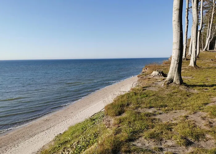 6b Blue Marine Basen Brodziki Plac Zabaw The Of Przy Plazy * Poddąbie